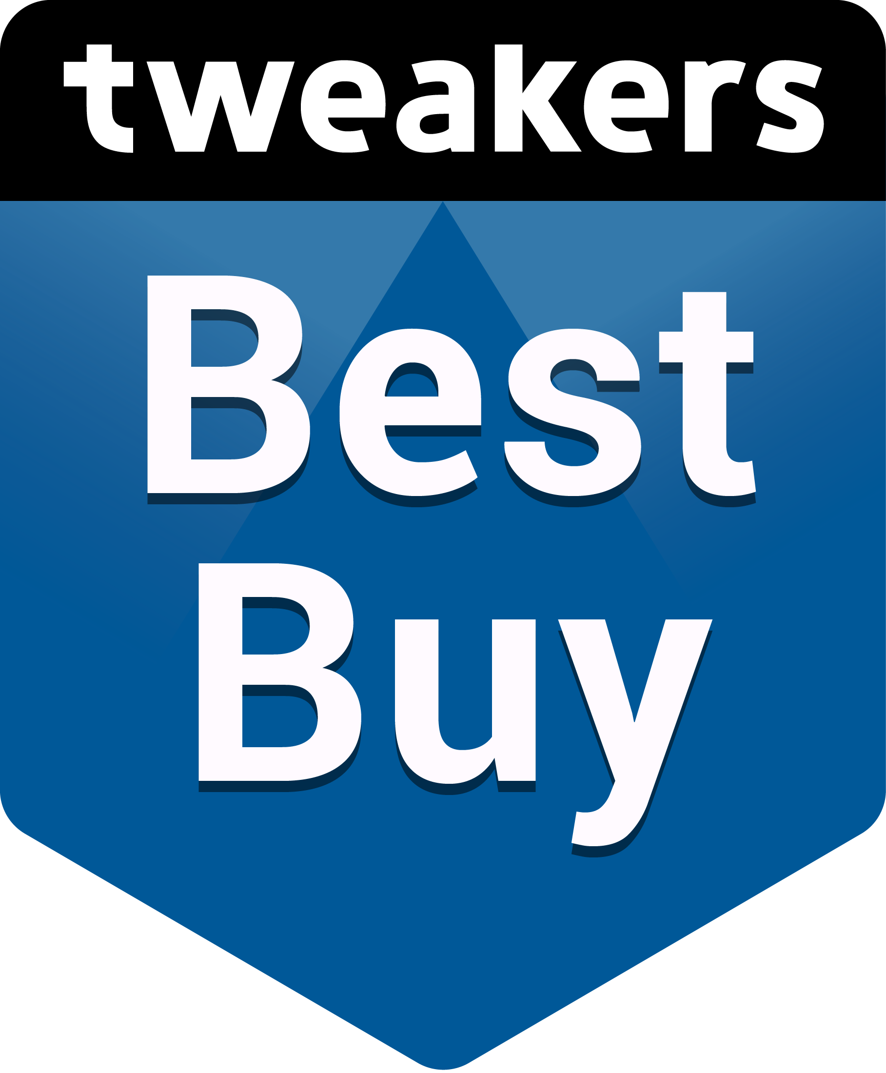Best Buy Award